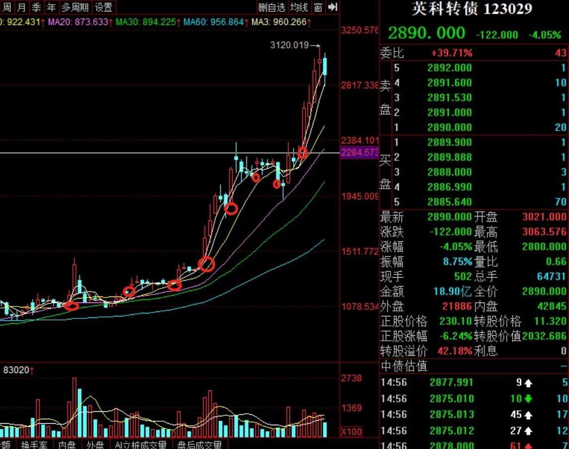 九游娱乐app信誉好-OP冲破SHIB美元大关，牛市是否已来临？
